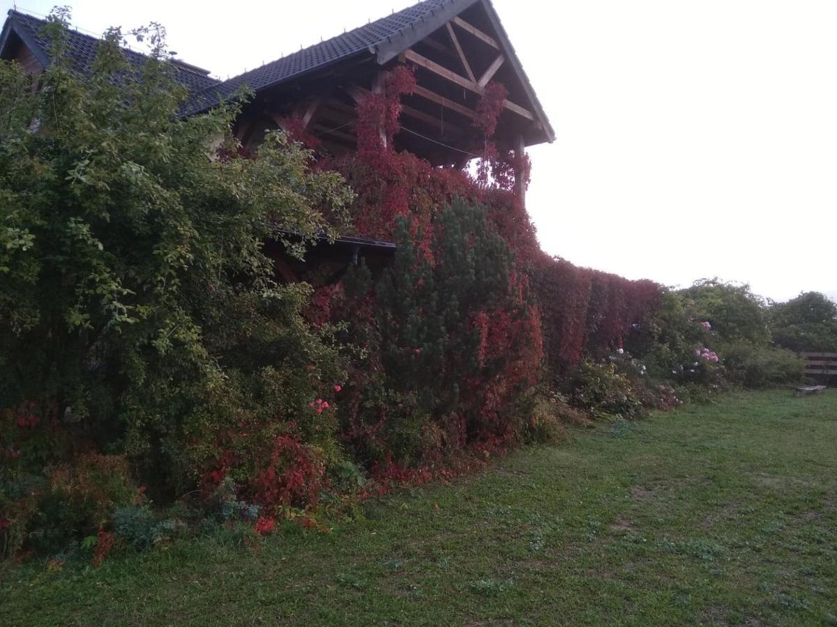 Appartement Agroturystyka Bogdanki à Stary Targ Extérieur photo