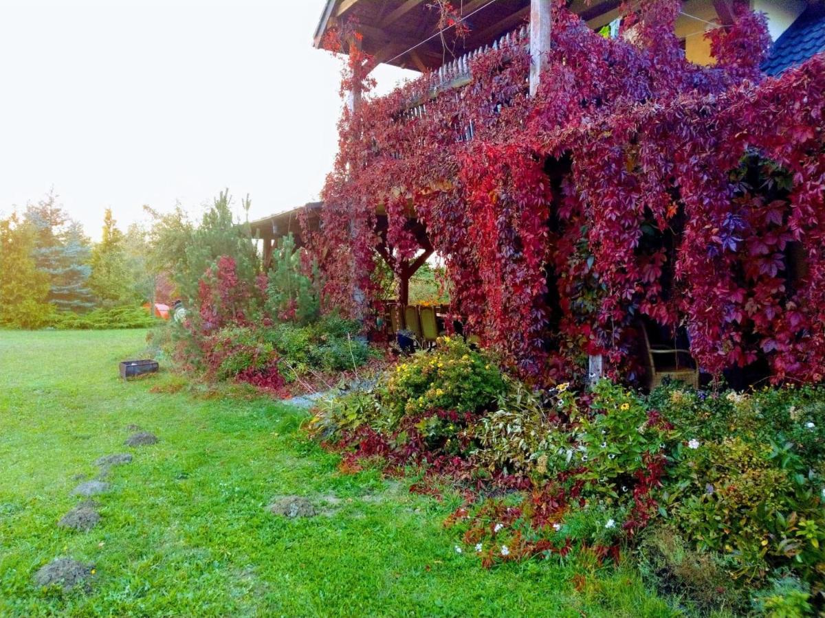 Appartement Agroturystyka Bogdanki à Stary Targ Extérieur photo